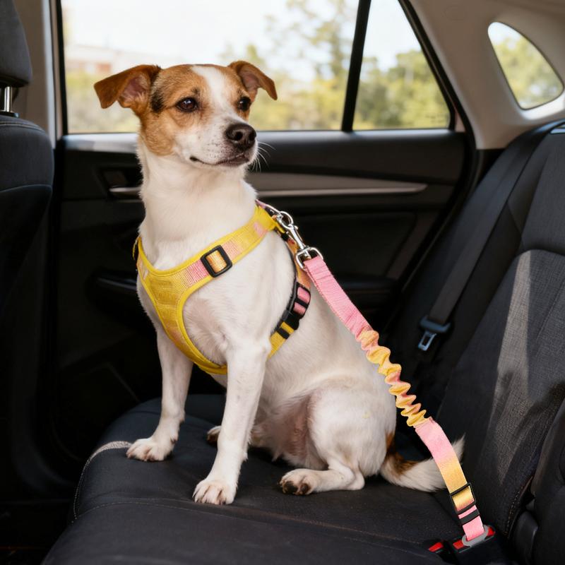 Furlyn Ombré Dog Car Seat Belt