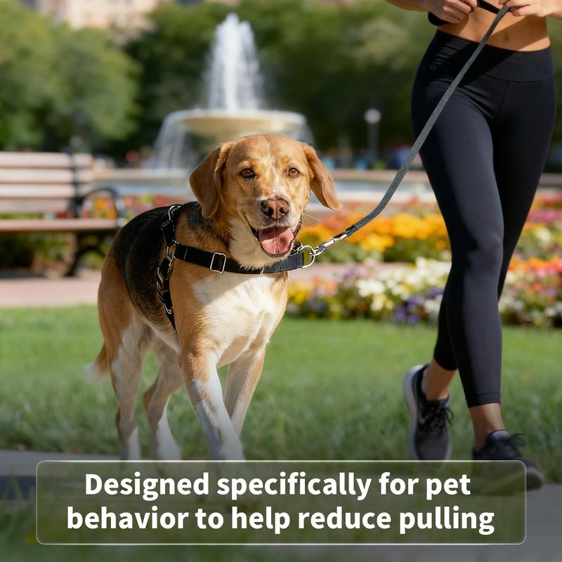 Owner walking a dog easily using a front-clip training harness