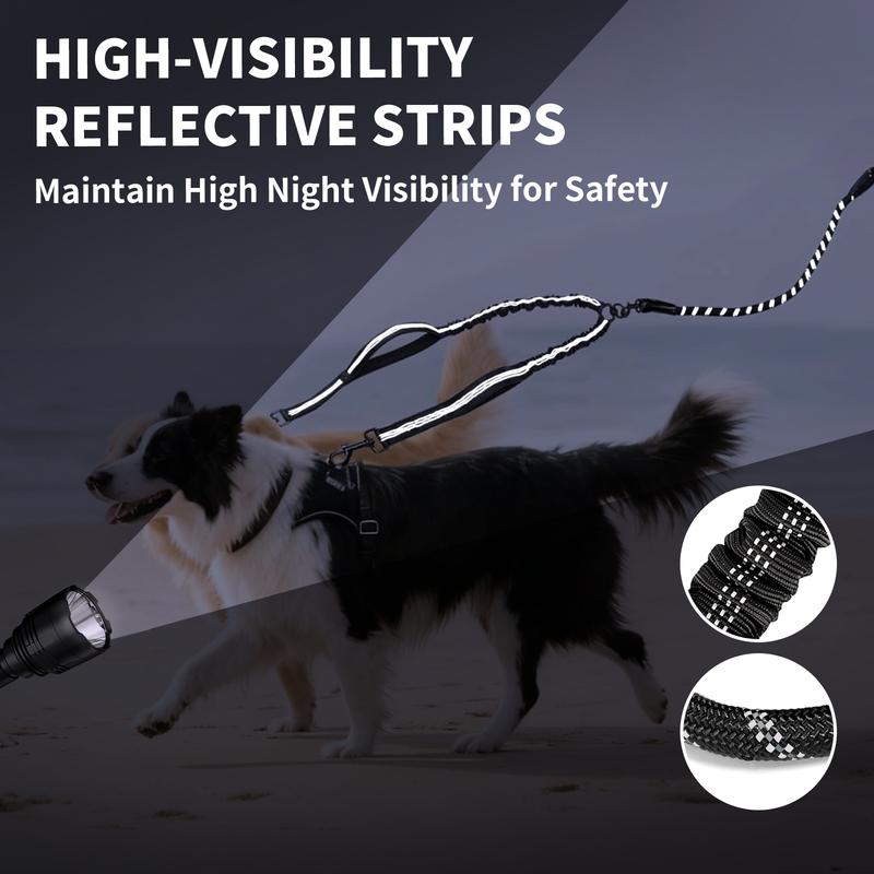 High-visibility reflective dual dog leash shining safely at night