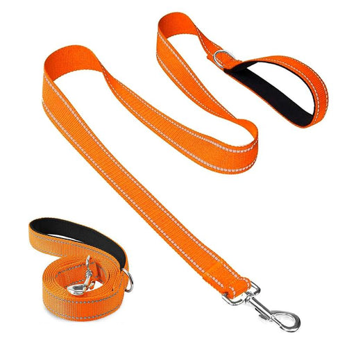 TaigePets Dog Leash