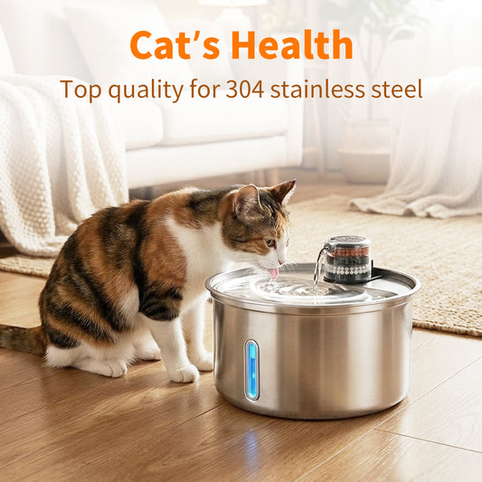 Stainless Steel Automatic Drinking Fountain