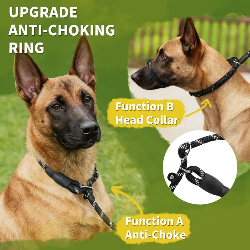 TaigePets Durable Slip Lead Dog Leash