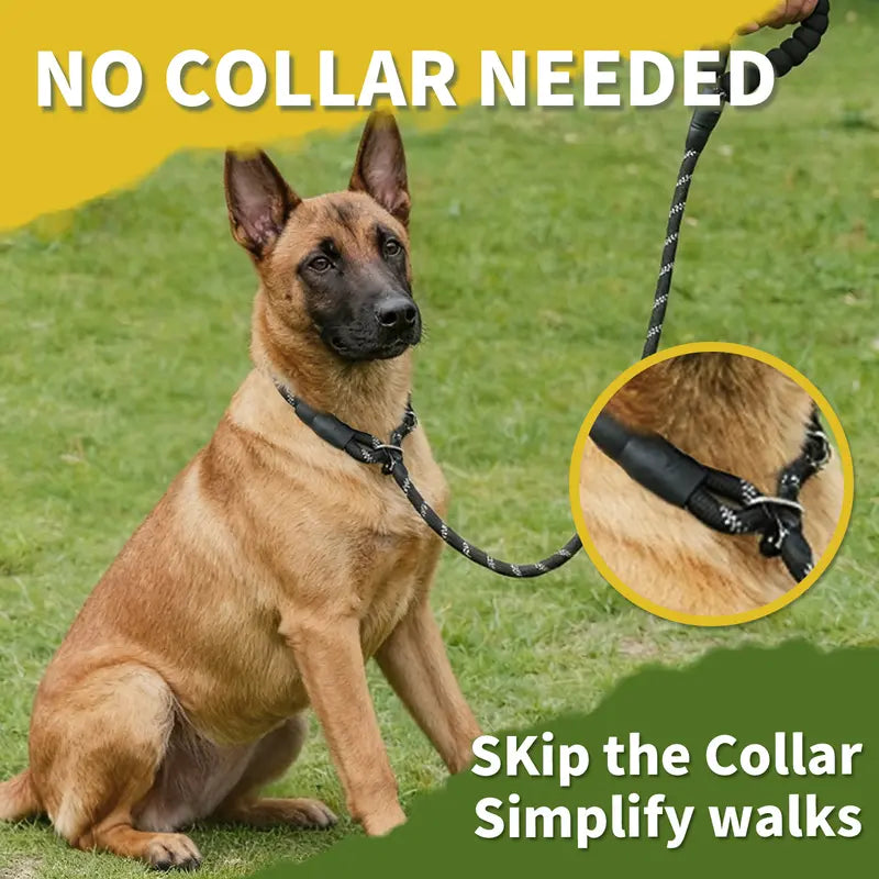 TaigePets Durable Slip Lead Dog Leash