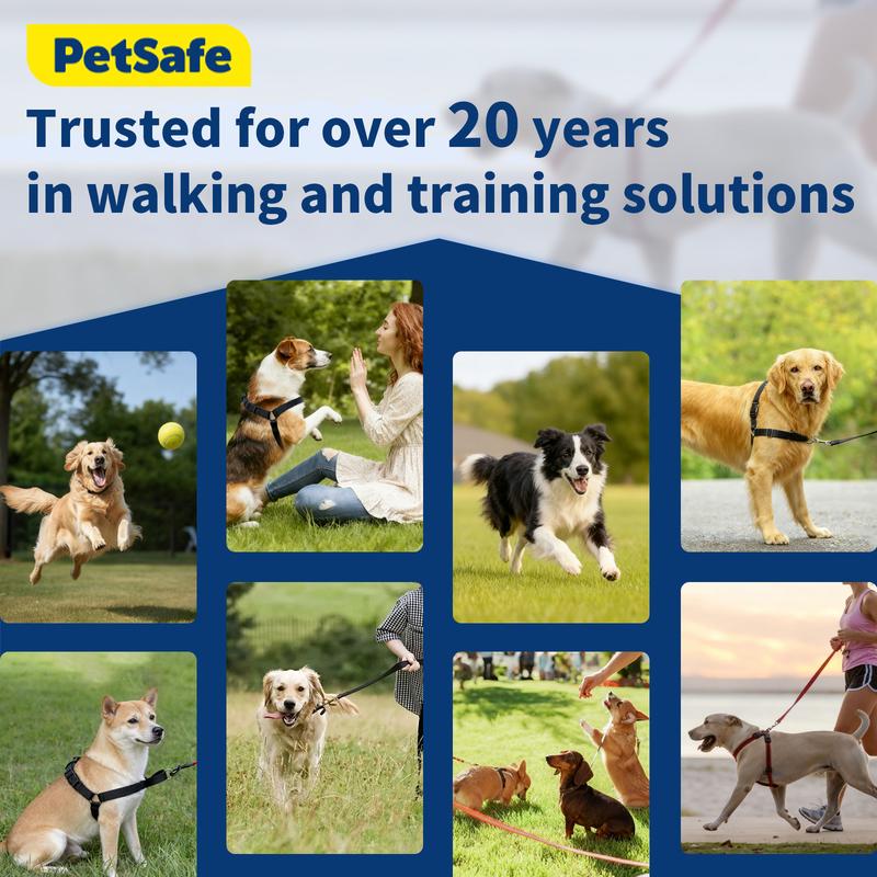 TaigePets No-Pull Dog Harness