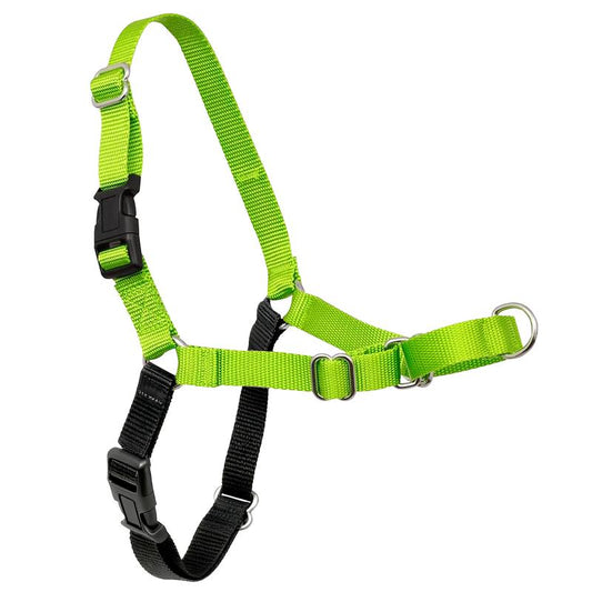 Neon green adjustable anti-pull dog harness